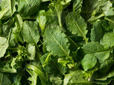 Baby Kale & Tender Leaf Short