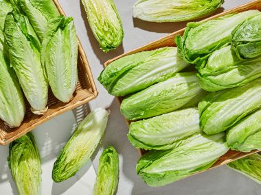 Romaine Lettuce