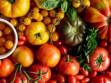 Tomato Talk