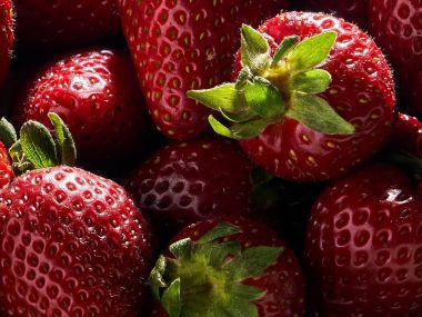 Strawberry Production