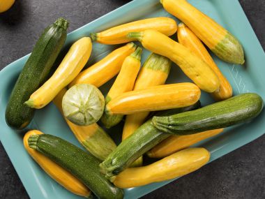 Yellow Squash