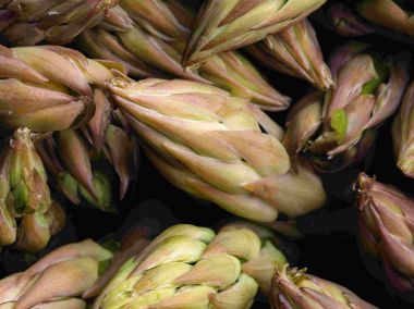 Spring & Summer Produce Guide