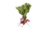 Baby Candy Cane Beets