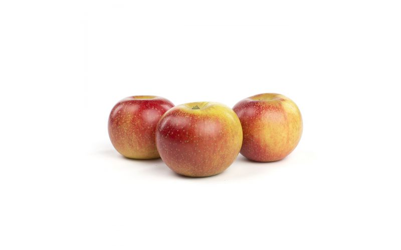 Orleans Reinette Heirloom Apples