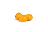 Daisy Mandarins