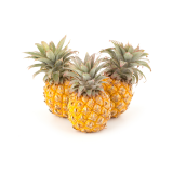 South African Baby Pineapples