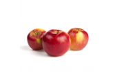 Crimson Gold Heirloom Apples