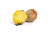 Large Golden Beets