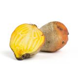 Large Golden Beets