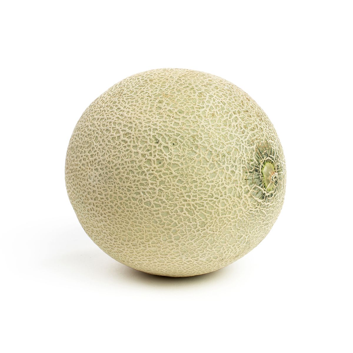 Cantaloupe Melons | Cantaloupe | Baldor Specialty Foods