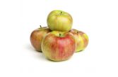 Rambour Franc Apples