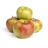 Rambour Franc Apples