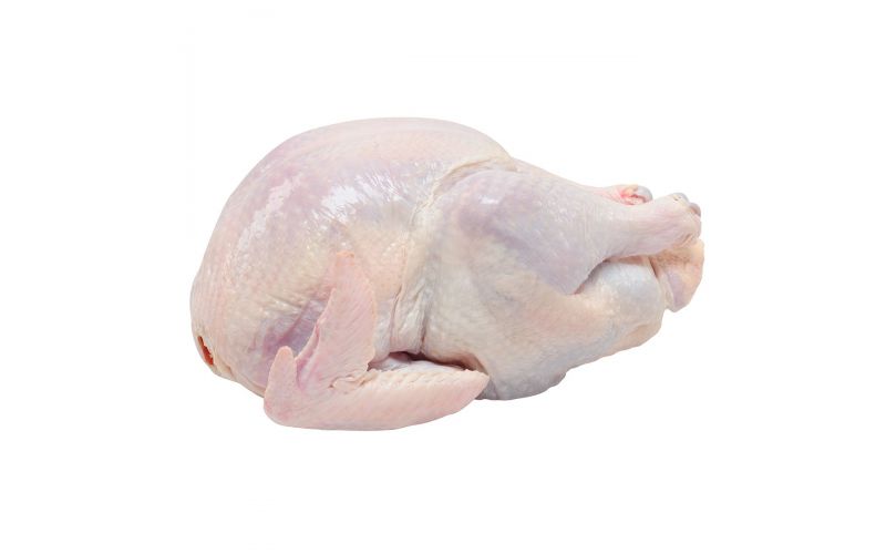 Frozen ABF Naked Whole Turkey 16-20 LB