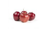 Lady Red Delicious Apples