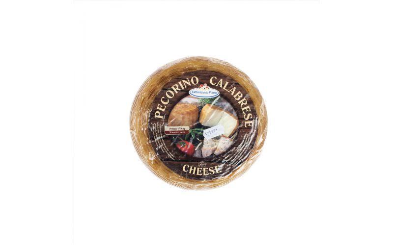 Pecorino Crotonese Cheese