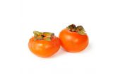 Fuyu Persimmons / Sharon Fruit