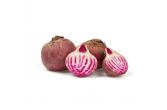 Large Candy Cane Beets
