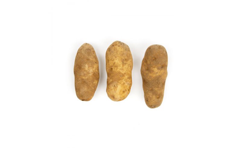 GPOD Potatoes 50 CT