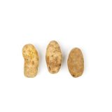 GPOD Potatoes 100 CT