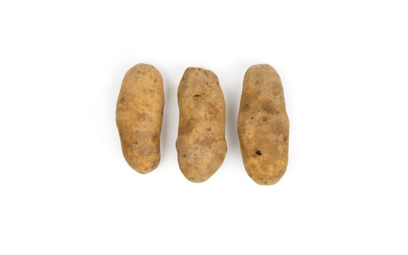GPOD Potatoes 40 CT