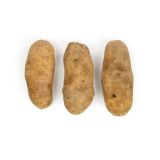 GPOD Potatoes 40 CT