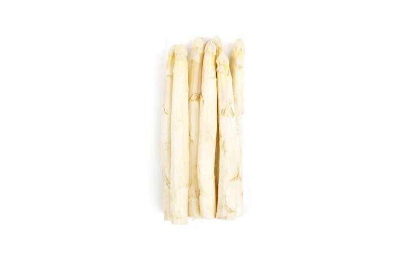 Holland White Asparagus AA