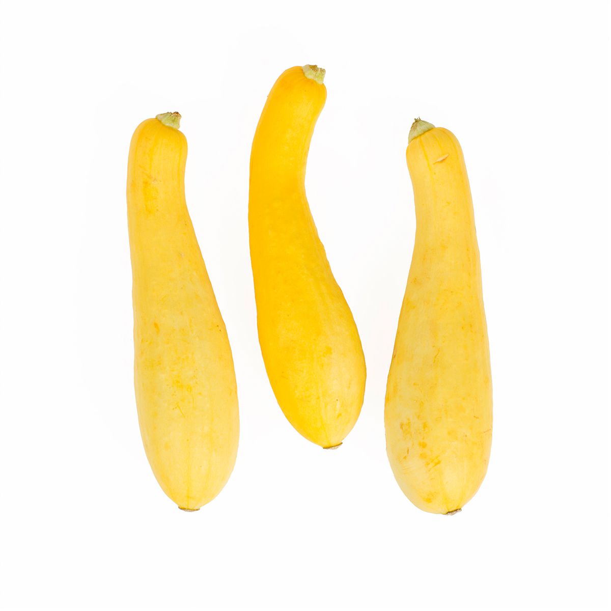 Yellow Medium Squash Yellow Squash Baldor Specialty Foods