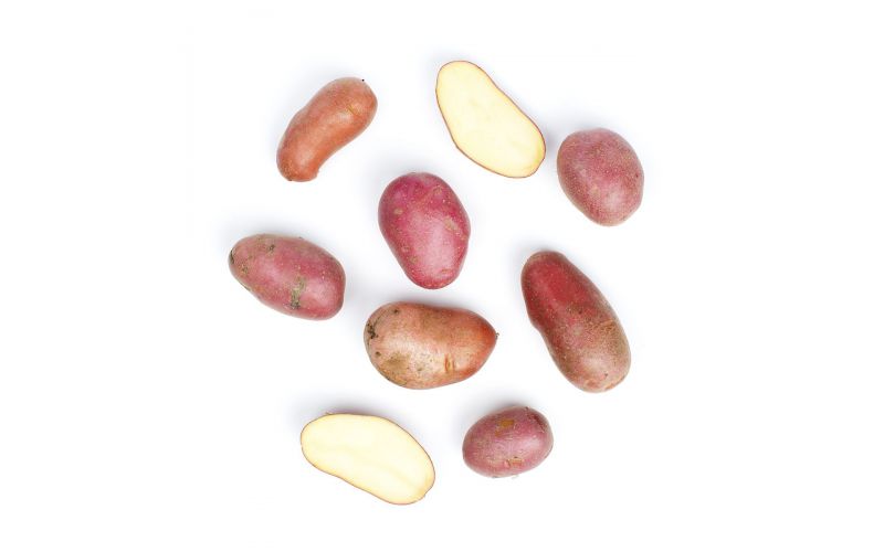 Red "C" Potatoes