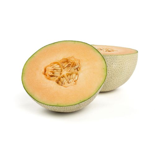 MAGnificent Jumbo Cantaloupe Melons