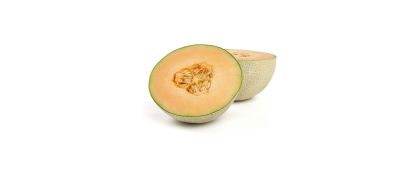 MAGnificent Jumbo Cantaloupe Melons