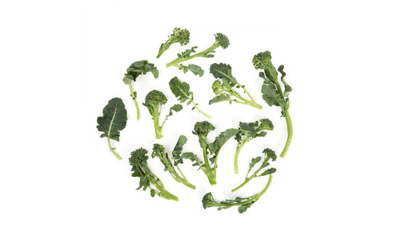 Organic Broccoli Di Ciccio