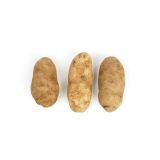 Idaho Potatoes #1 100 CT