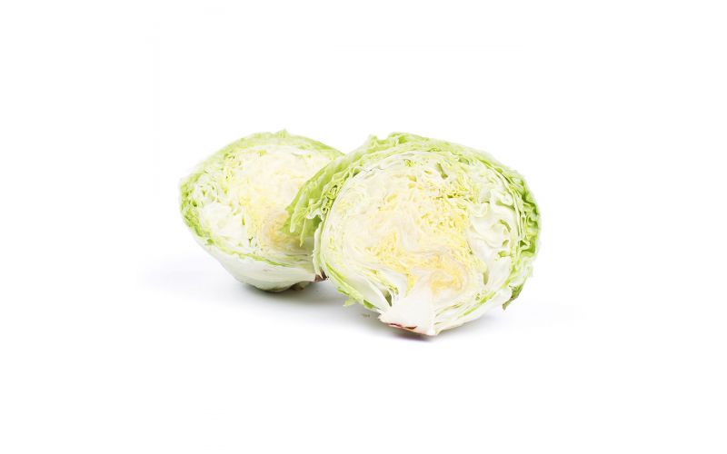 Iceberg Lettuce