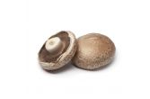 4.5" Portobello Mushroom Caps