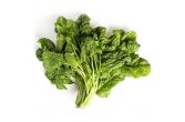 Organic Spinach