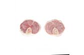 Frozen Veal Osso Buco 2"