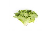 Organic Green Leaf Lettuce