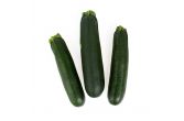 Local Medium Zucchini