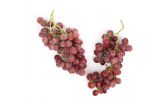 Extra Fancy/XL Red Seedless Grapes