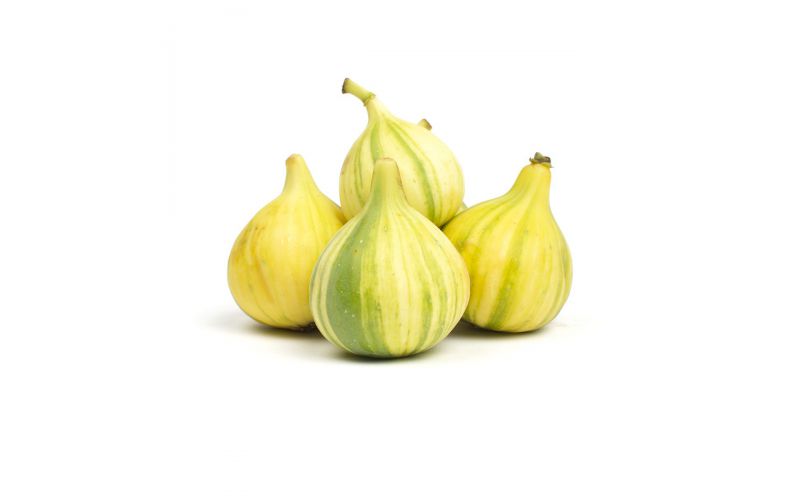 Tiger Figs