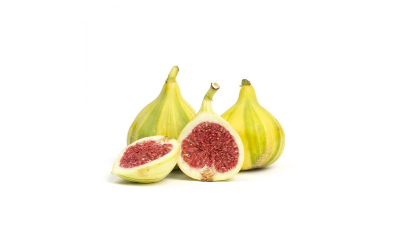 Tiger Figs