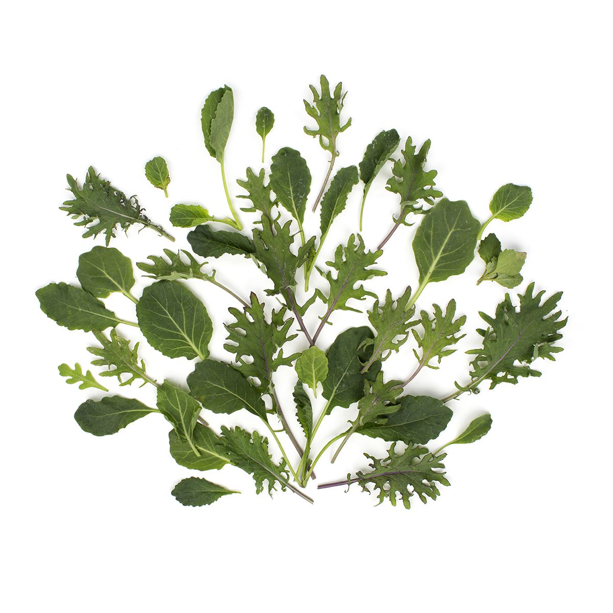 Organic Green Baby Kale Kale Baldor Specialty Foods