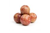 Autumn Honey Plumcots