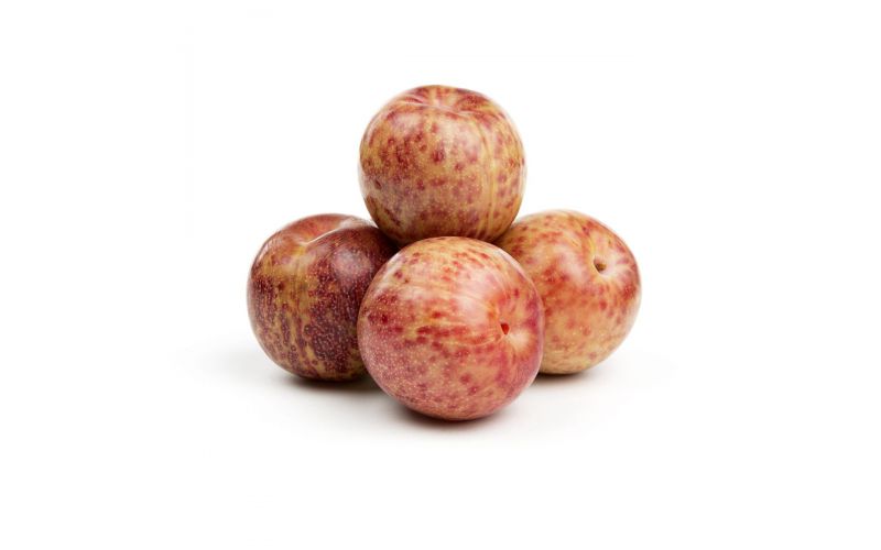 Autumn Honey Plumcots