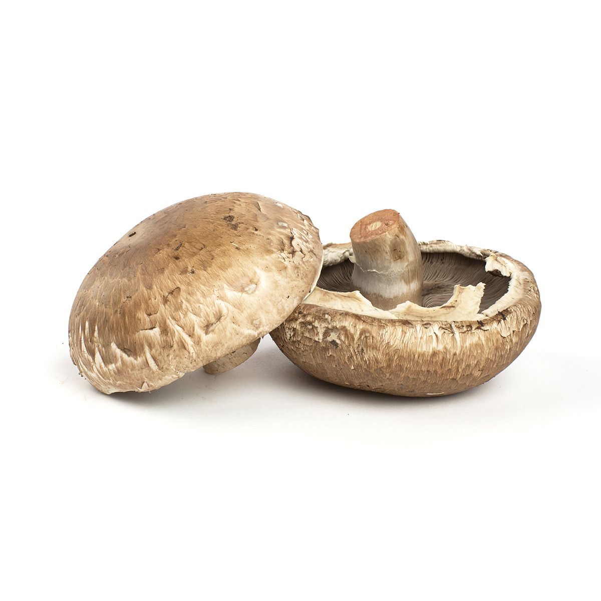 2.5 Portobello Mushroom Caps | Portabella Mushrooms | Baldor Specialty