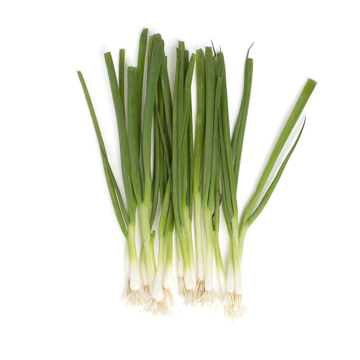 Iceless Scallions | Scallions | Baldor Specialty Foods