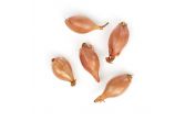 Organic Whole Shallots