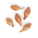 Organic Whole Shallots