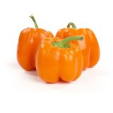 Organic Greenhouse Orange Peppers