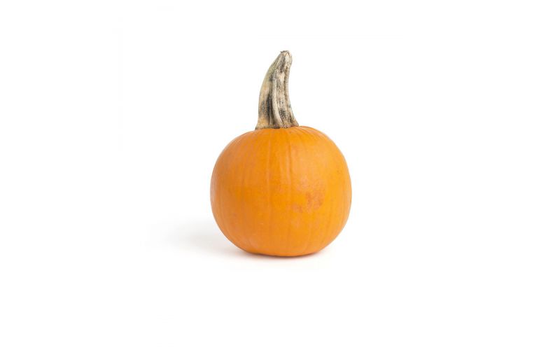 Pie Pumpkins